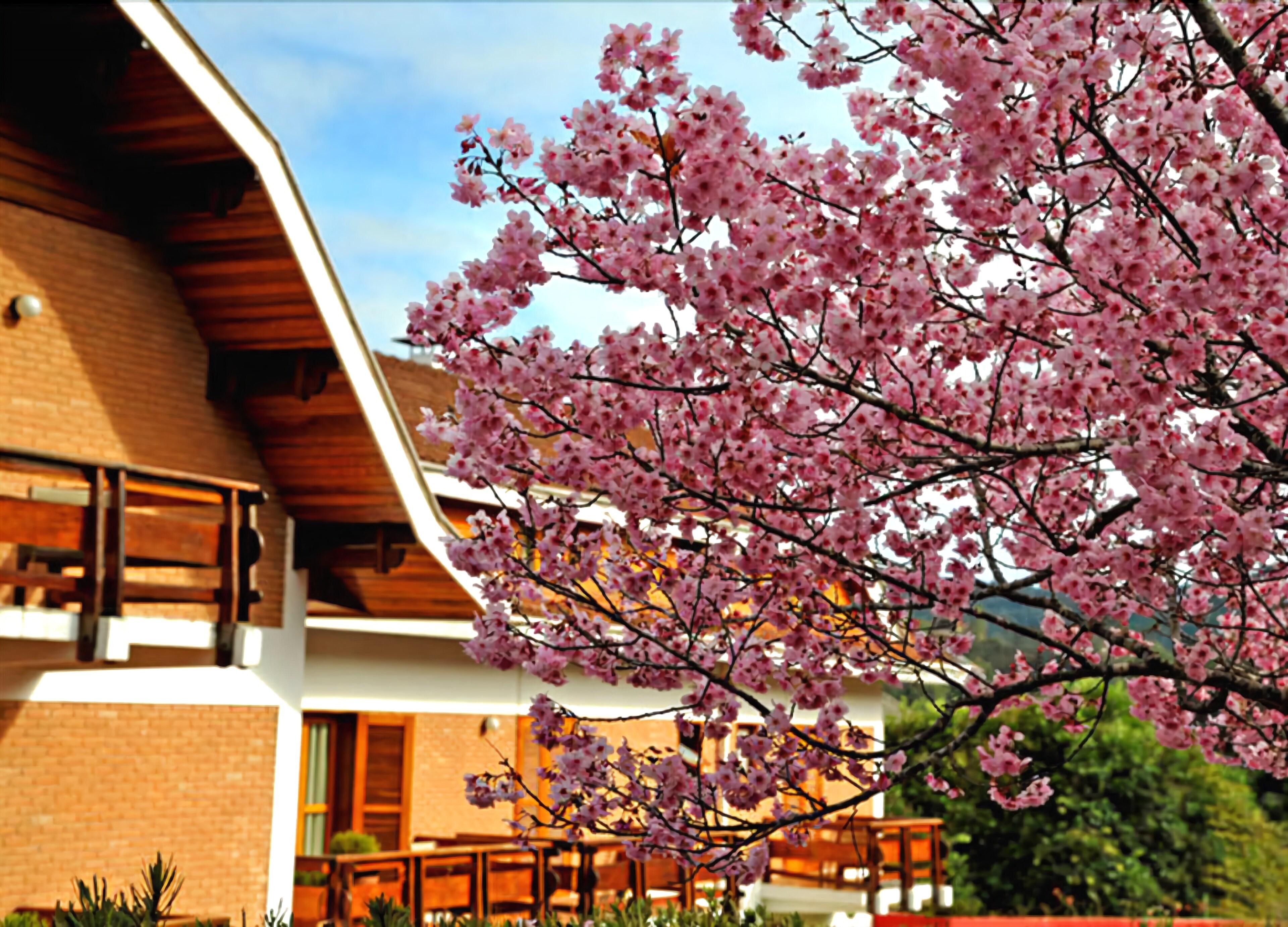 Hotel Matsubara, Campos do Jordao